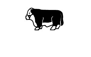 Sirloin 2